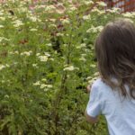 20210526HREnjoyingOurWhiteAndYellowBlooms