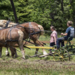 202105HRPlowing019RidingPlow