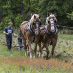 202105HRPlowing031WalkBehindPlow
