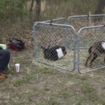 20220410HRSpringFestival013KatieHolt