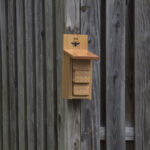 20220410HRSpringFestival016NewMudBeeHouse