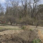 20220410HRSpringFestival027GardenAndChickasawPlums