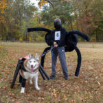 20221030HRPetParade107ContestantsGinger