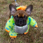 20221030HRPetParade121ContestantsFozzy