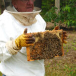 BeeKeeperJohnConner copy