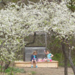 Chickasaw Plums Well Two Girls