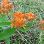 DSCN0056