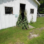 ForgottenTask 2013 Mullin