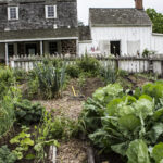 HR 2018-06-10 FlagDay 008 Kitchen Garden