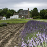 HR 2018-06-10 FlagDay 025 Flags House Lavender