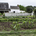 HR 2018-06-10 FlagDay 033 Lower Garden