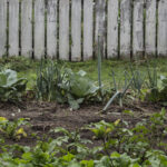 HR 2018-06-10 FlagDay 035 Lower Garden