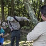 HR 2018-09-30 Trees in the Forest Walkabout 03 Sassafras Tree 03