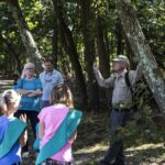 HR 2018-09-30 Trees in the Forest Walkabout 03 Sassafras Tree