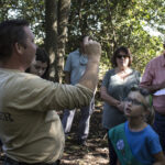HR 2018-09-30 Trees in the Forest Walkabout 07 American Sweet Gum Tree 02
