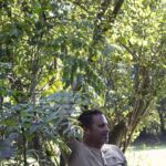 HR 2018-09-30 Trees in the Forest Walkabout 11 Devils Walking Stick 02