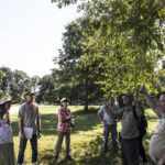 HR 2018-09-30 Trees in the Forest Walkabout 12 Silver Maple 01