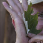 HR 2018-09-30 Trees in the Forest Walkabout 12 Silver Maple 03
