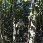 HR 2018-09-30 Trees in the Forest Walkabout 13 Paw Paw Near Old House Cove 01