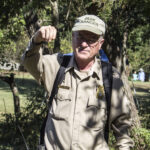HR 2018-09-30 Trees in the Forest Walkabout 14 Virginia Pine Neddle 01