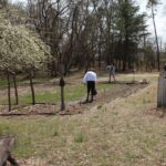 HR 2019-04-07 Chickasaw Plums 06