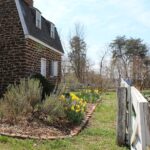 HR 2019-04-07 Garden DoorStep Garden 02