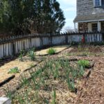 HR 2019-04-07 Garden Kitchen 01