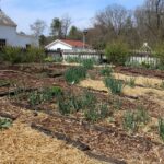 HR 2019-04-07 Garden Kitchen 04