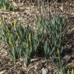 HR 2021-03-7 Spring Display 02
