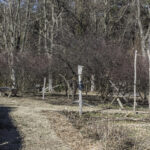HR 2021-03-7 Spring Display 06