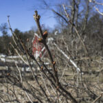 HR 2021-03-7 Spring Display 10