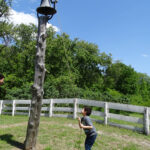 HR SD-M Jimi Bell 2014-05-18