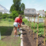 HR Working the garden