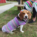 HR20231029PetParade102PreParadeGizzyNancy