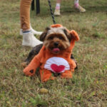 HR20231029PetParade108PreParade