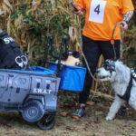 HR20231029PetParade203PreParadeKaySwatTeamDriverBennySwatTeamLeader6