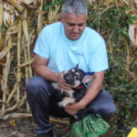 HR20231029PetParade215PreParadeTokeoWitch