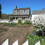 Lilac Fest 2014 Gardens 01