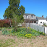 Lilac Fest 2014 Gardens 03