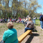 Lilac Fest 2014 Sheep Shearing 01