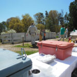 Lilac Fest 2014 food 01