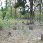 Unmarked and Marked DSCN2956 (1)